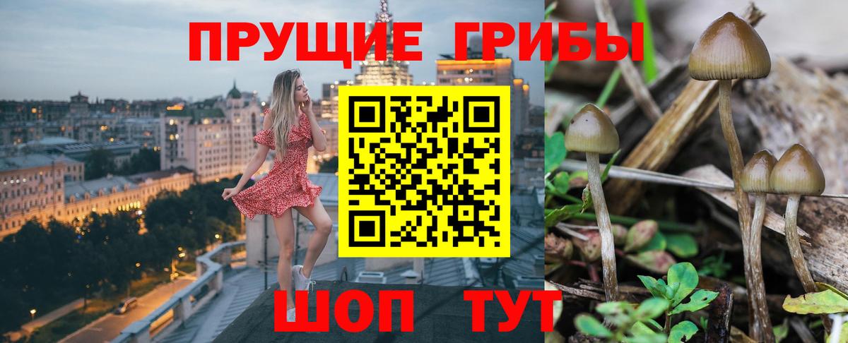 Галлюциногенные грибы мицелий  Вход с VPN  Острогожск 